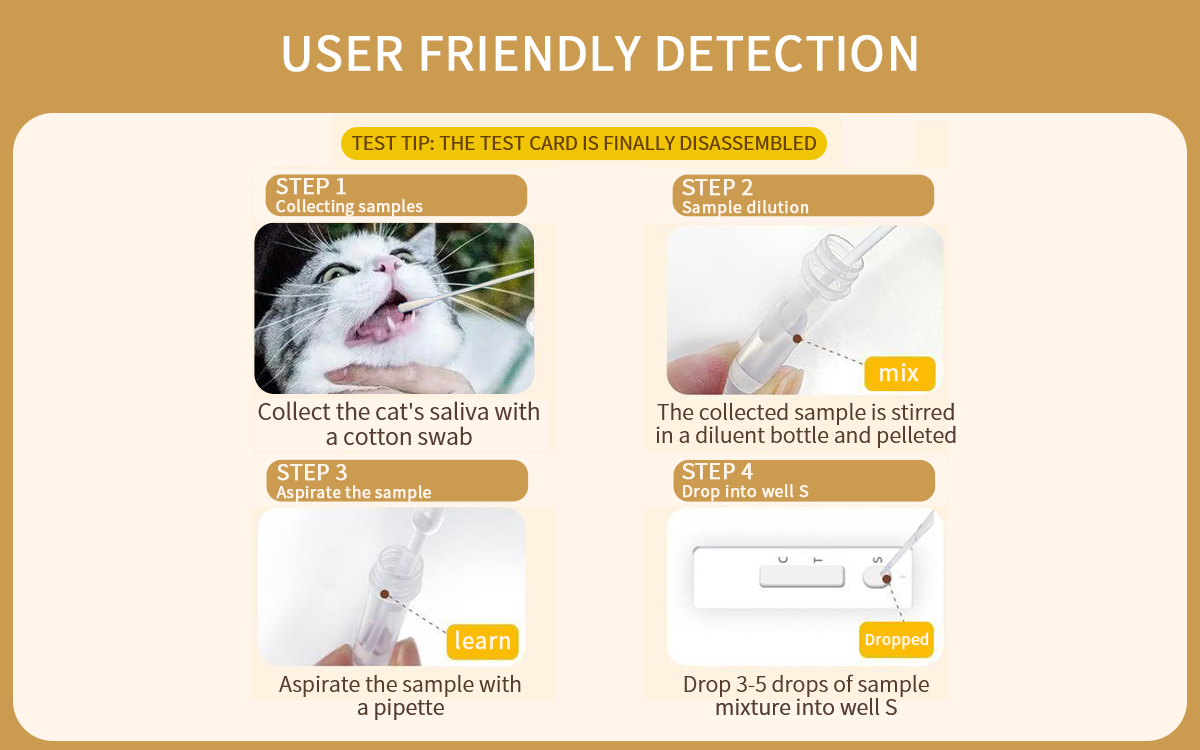 Cat Calicivirus Ag Detection Card