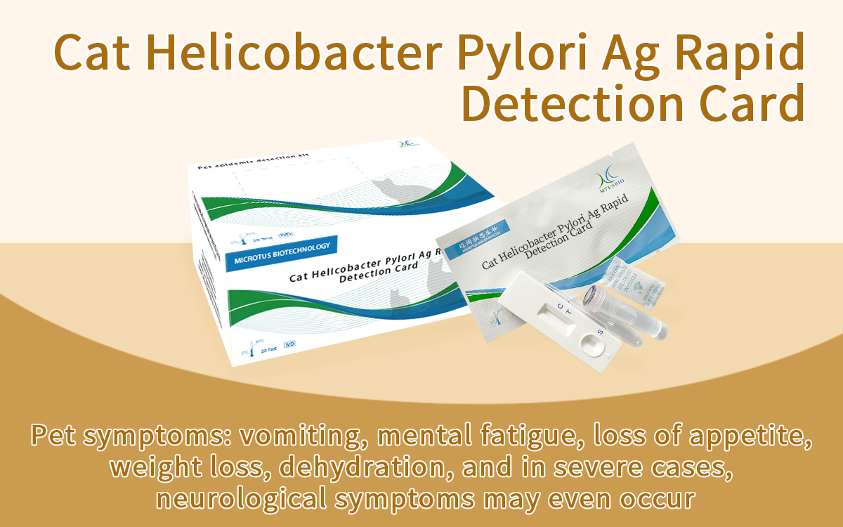 Cat Helicobacter Pylori Ag Rapid Detection Card