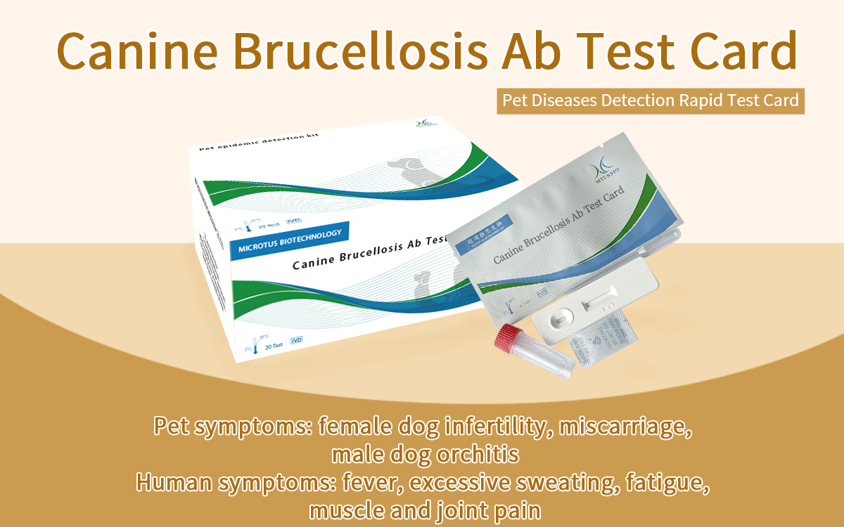 Canine Brucellosis Ab Test Card