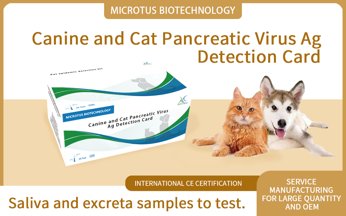 Canine and Cat Pancreatic Virus Ag Detection Card
