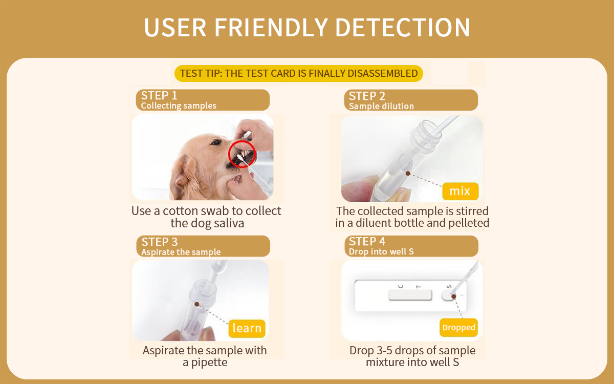Canine Helicobacter Pylori Ag Rapid Detection Card
