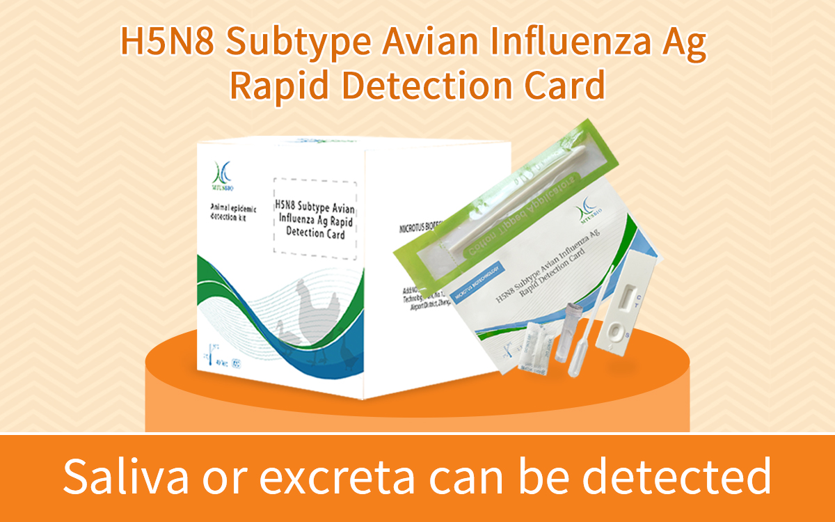 H5N8 Subtype Avian Influenza Ag Rapid Detection Card