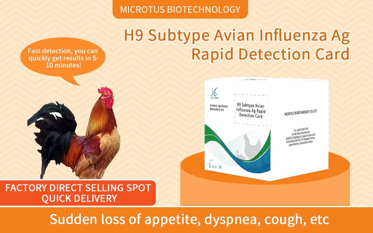 Avian influenza virus H9 antigen rapid test card