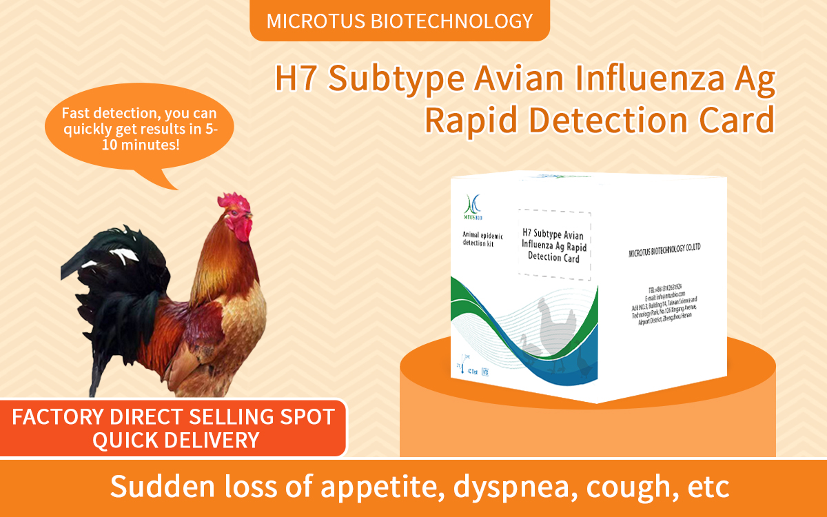 Avian influenza virus H7 antigen rapid test card