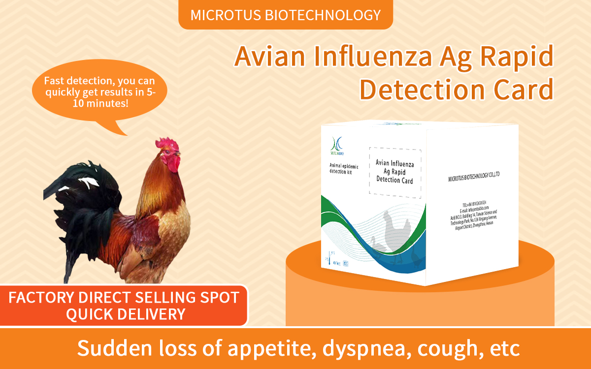 Avian Influenza Ag Rapid Detection Card (colloidal gold method)