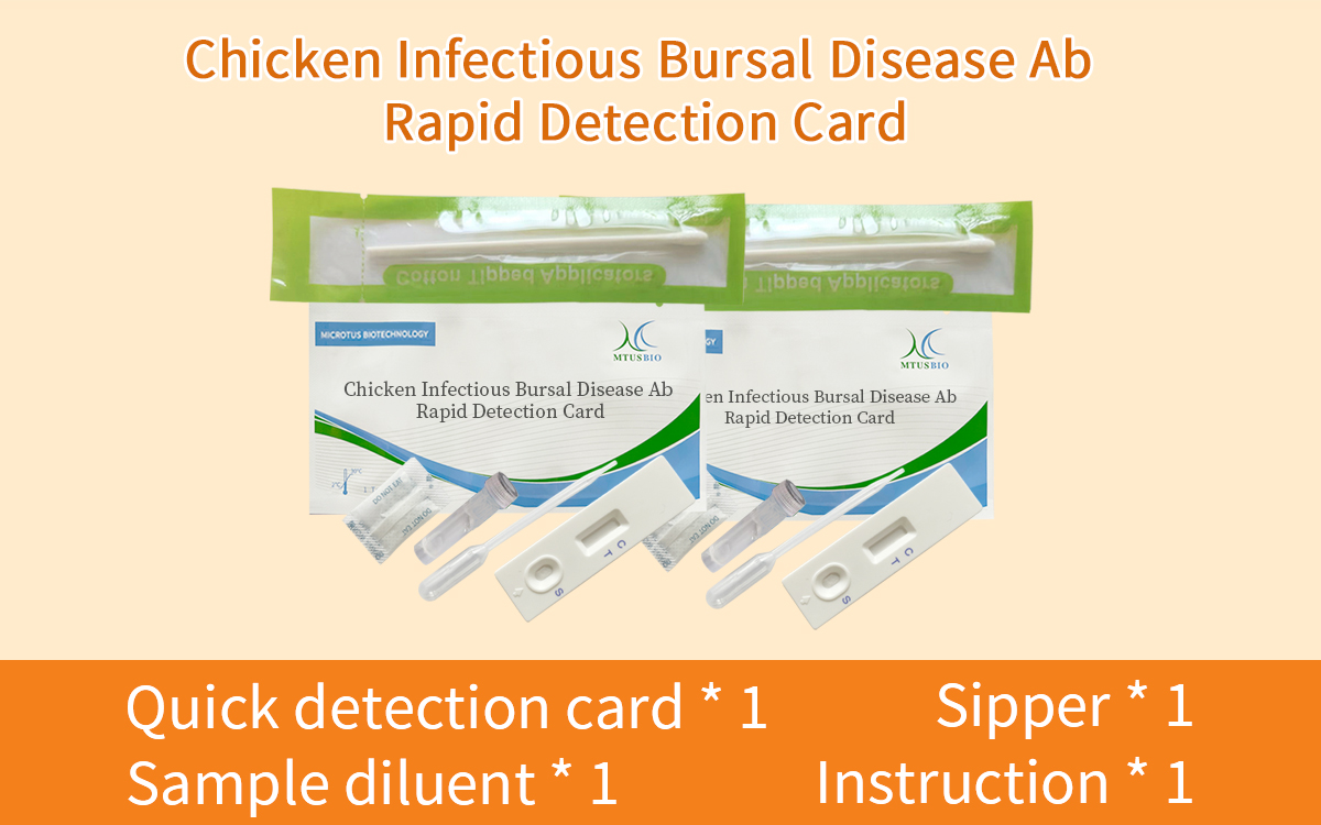 Chicken Infectious Bursal Disease Ab Rapid Detection Card