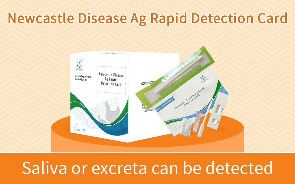 Newcastle Disease Ag Rapid Detection Card (colloidal gold method)