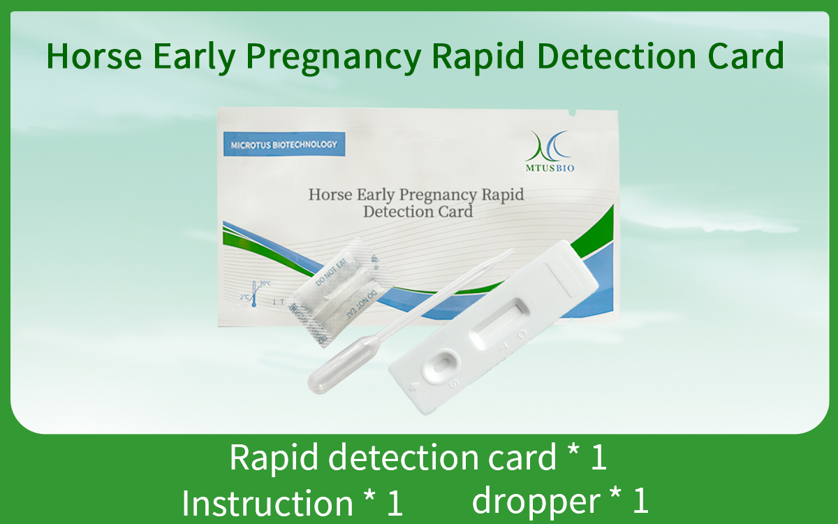 Horse Early Pregnancy Rapid Detection Card