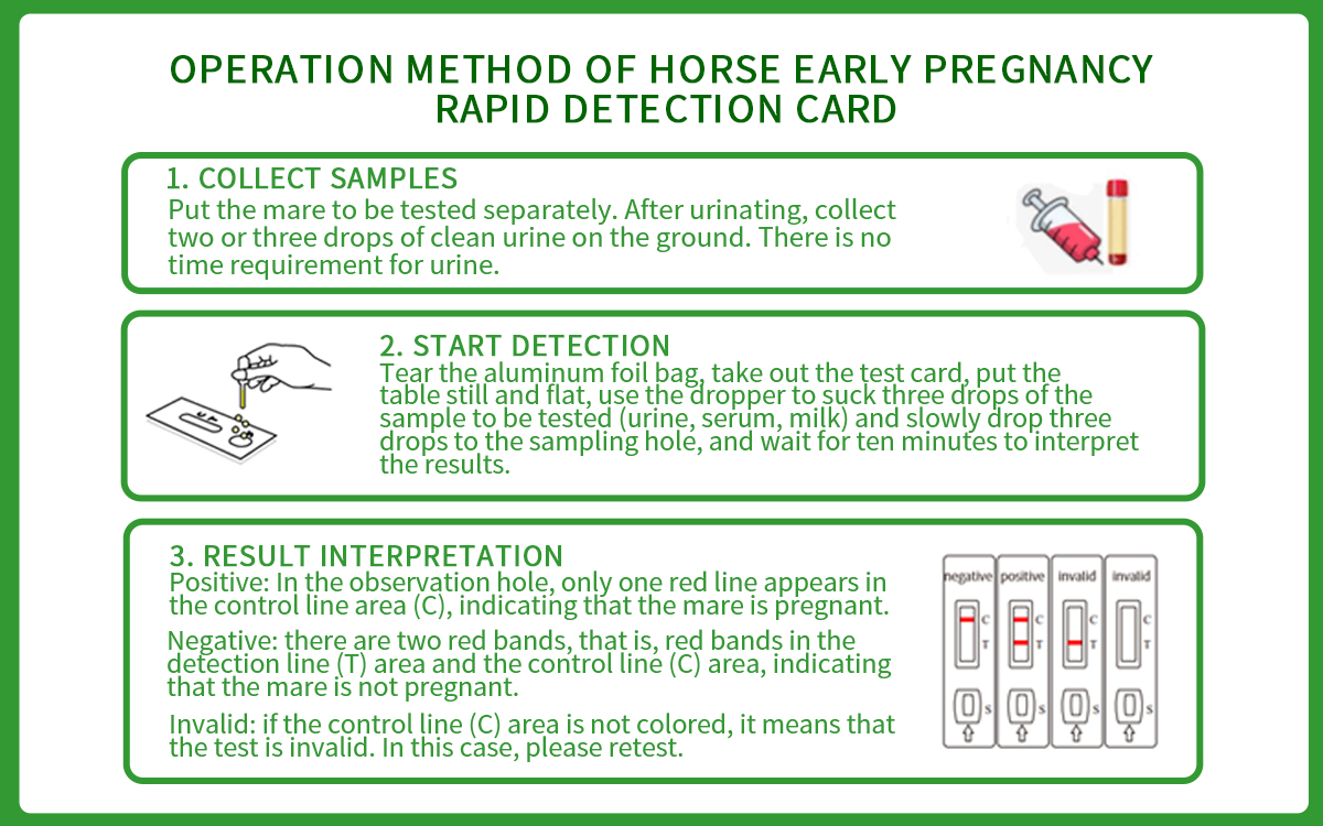 Horse Early Pregnancy Rapid Detection Card