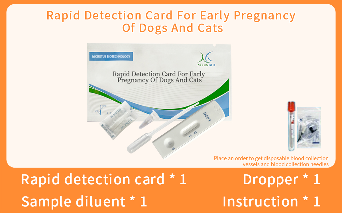 Rapid Detection Card For Early Pregnancy Of Dogs And Cats