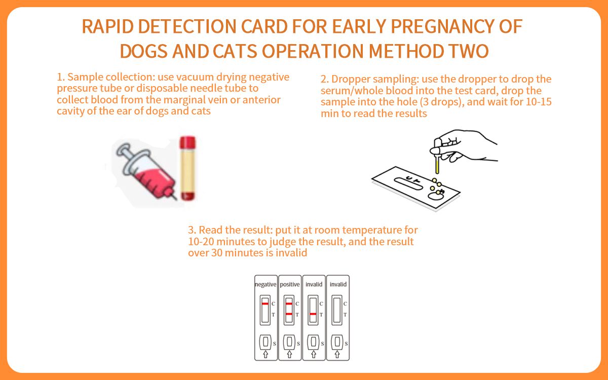 Rapid Detection Card For Early Pregnancy Of Dogs And Cats