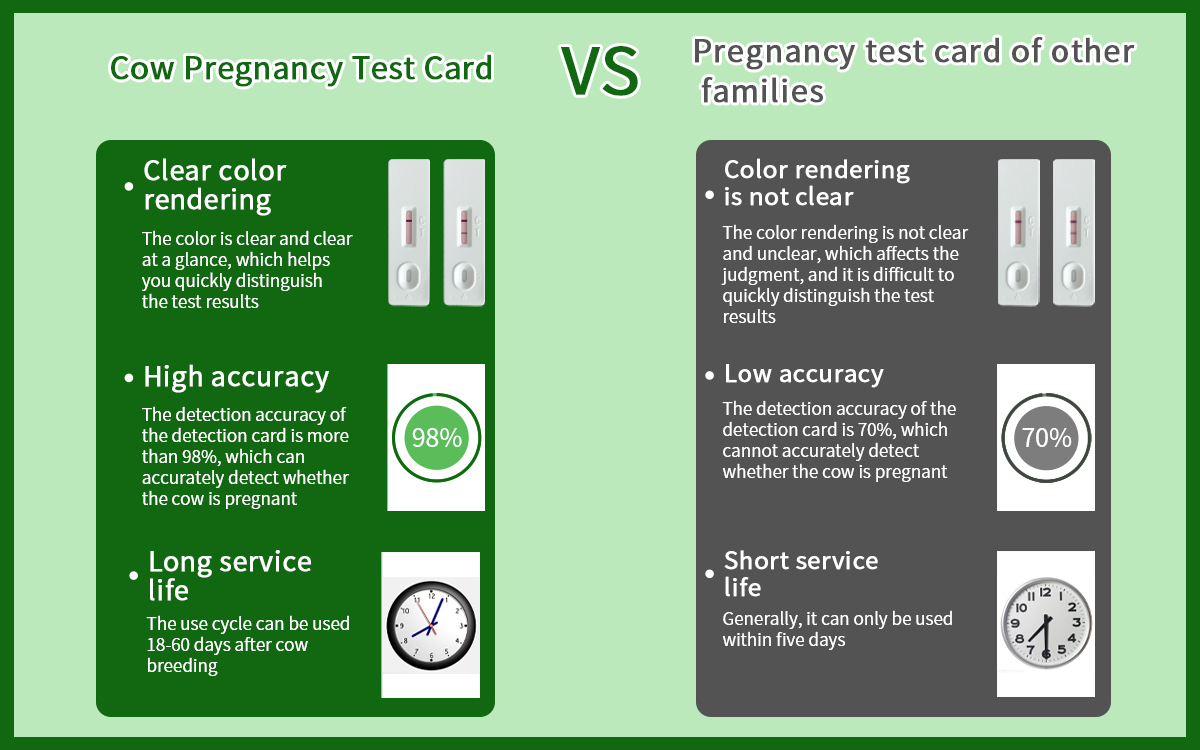 Cow Pregnancy Test Card