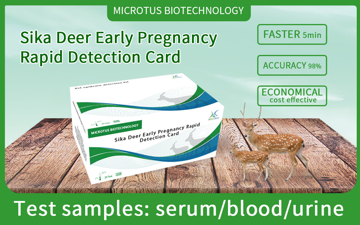 Sika Deer Early Pregnancy Rapid Detection Card