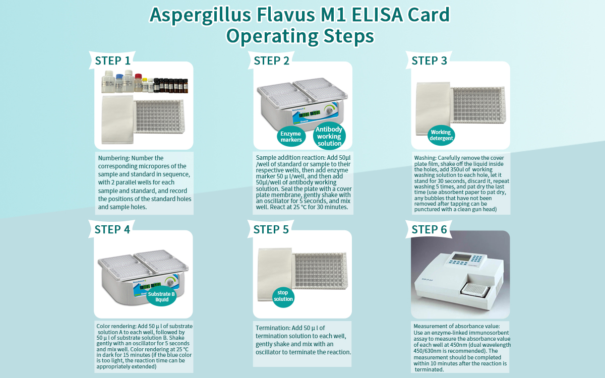 Aspergillus Flavus M1 ELISA Test Kit