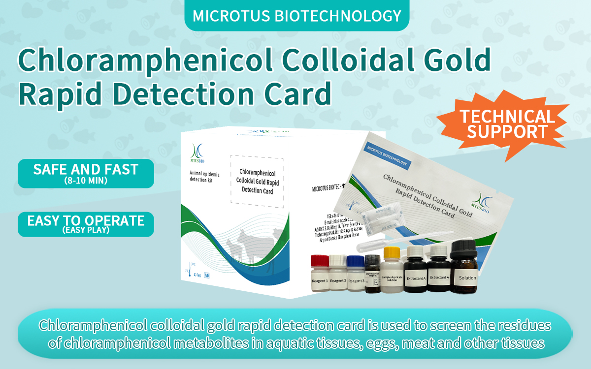 Chloramphenicol Colloidal Gold Rapid Detection Card