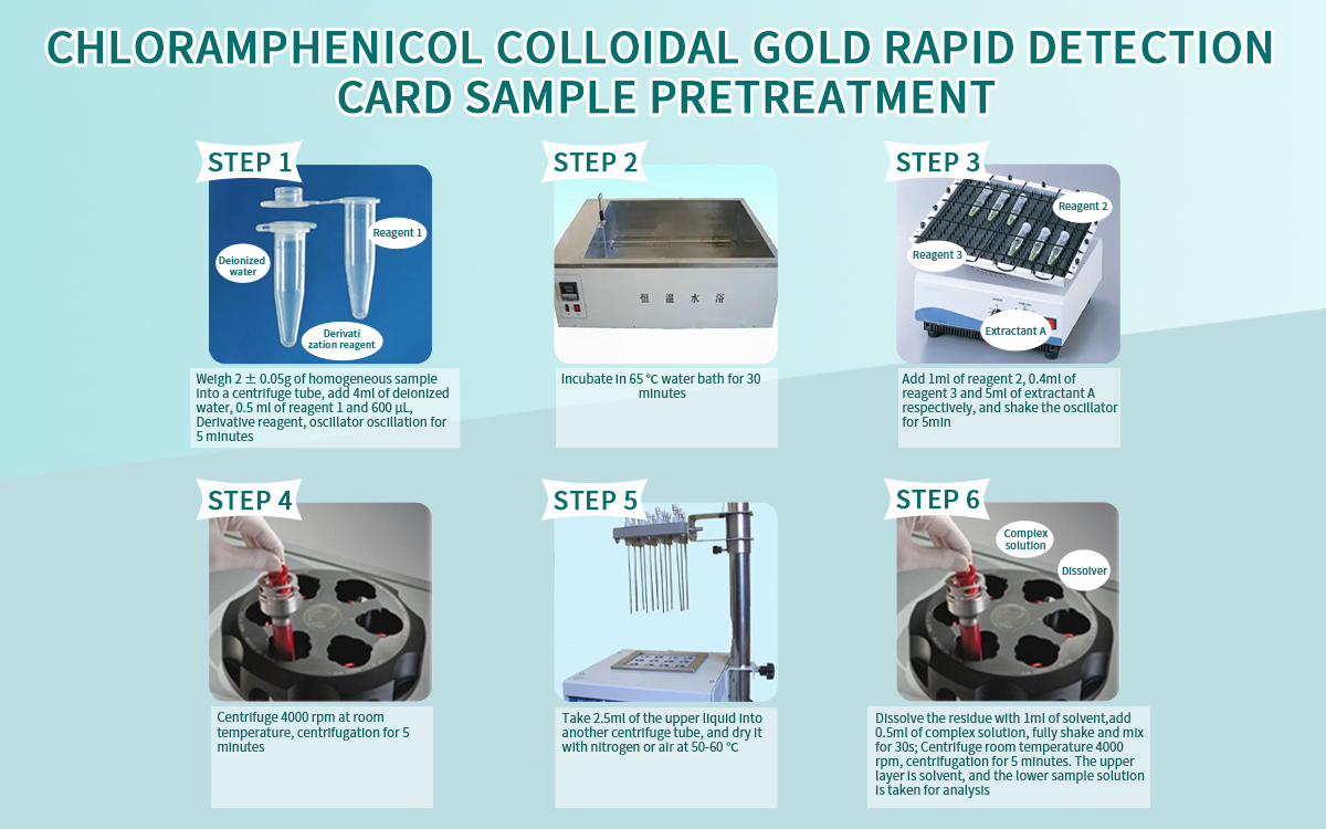 Chloramphenicol Colloidal Gold Rapid Detection Card